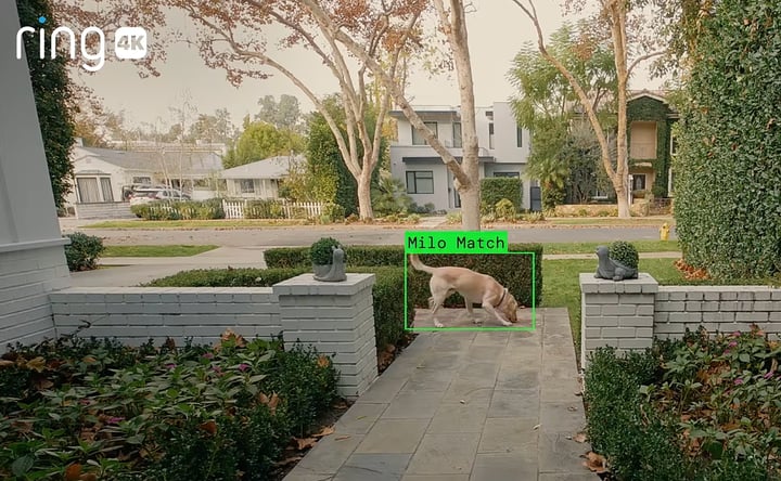 With Ring, American Consumers Built a Surveillance Dragnet